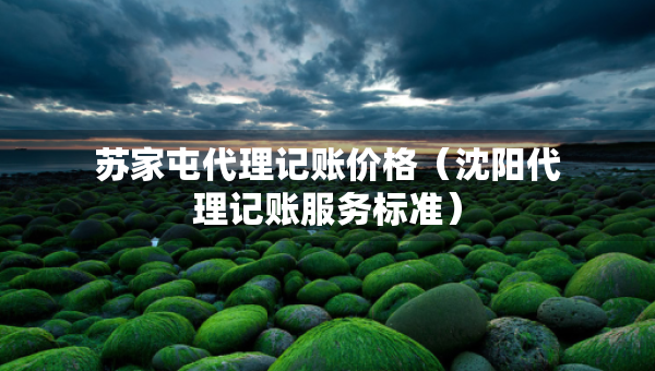 蘇家屯代理記賬價(jià)格（沈陽(yáng)代理記賬服務(wù)標(biāo)準(zhǔn)）