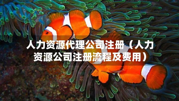 人力資源代理公司注冊（人力資源公司注冊流程及費(fèi)用）