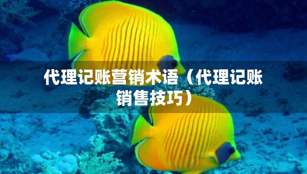 代理記賬營銷術語（代理記賬銷售技巧）