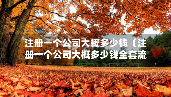 注冊一個公司大概多少錢（注冊一個公司大概多少錢全套流程）