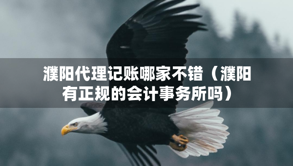 濮陽(yáng)代理記賬哪家不錯(cuò)（濮陽(yáng)有正規(guī)的會(huì)計(jì)事務(wù)所嗎）