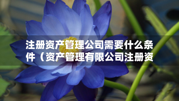 注冊資產(chǎn)管理公司需要什么條件（資產(chǎn)管理有限公司注冊資本要求）
