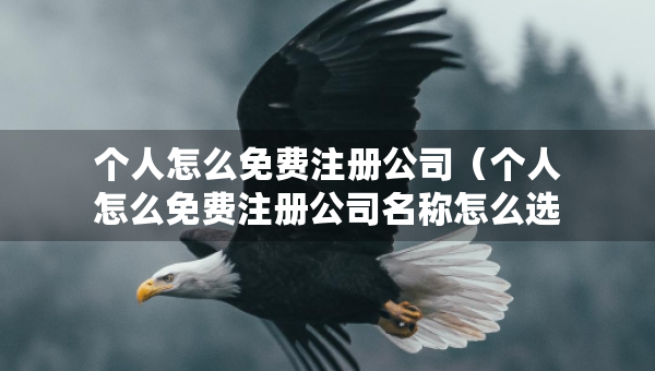 個(gè)人怎么免費(fèi)注冊(cè)公司（個(gè)人怎么免費(fèi)注冊(cè)公司名稱怎么選）