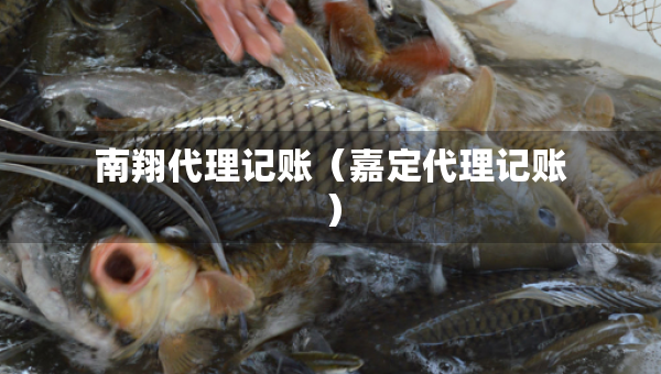 南翔代理記賬（嘉定代理記賬）