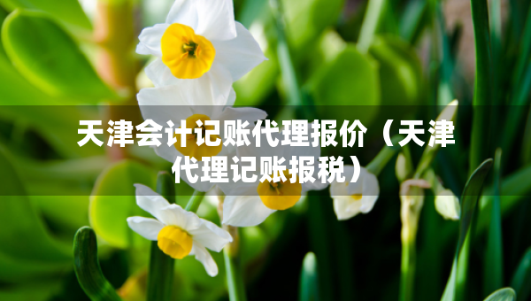 天津會(huì)計(jì)記賬代理報(bào)價(jià)（天津代理記賬報(bào)稅）