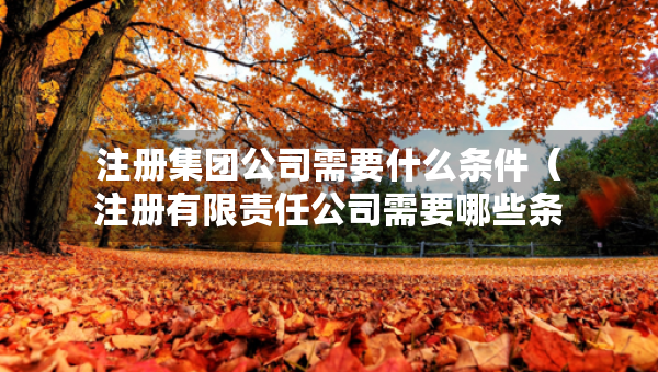 注冊集團(tuán)公司需要什么條件（注冊有限責(zé)任公司需要哪些條件）