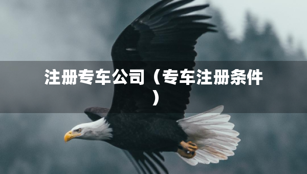 注冊專車公司（專車注冊條件）